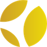 Anheuser-Busch InBev SA/NV Sponsored ADR logo